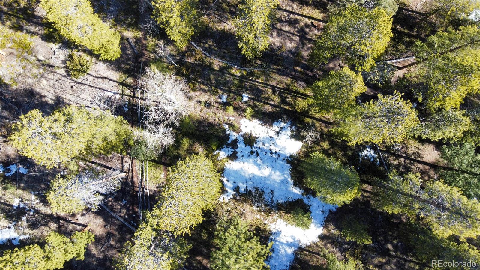 18961 Wagon Trail Buena Vista CO 81211