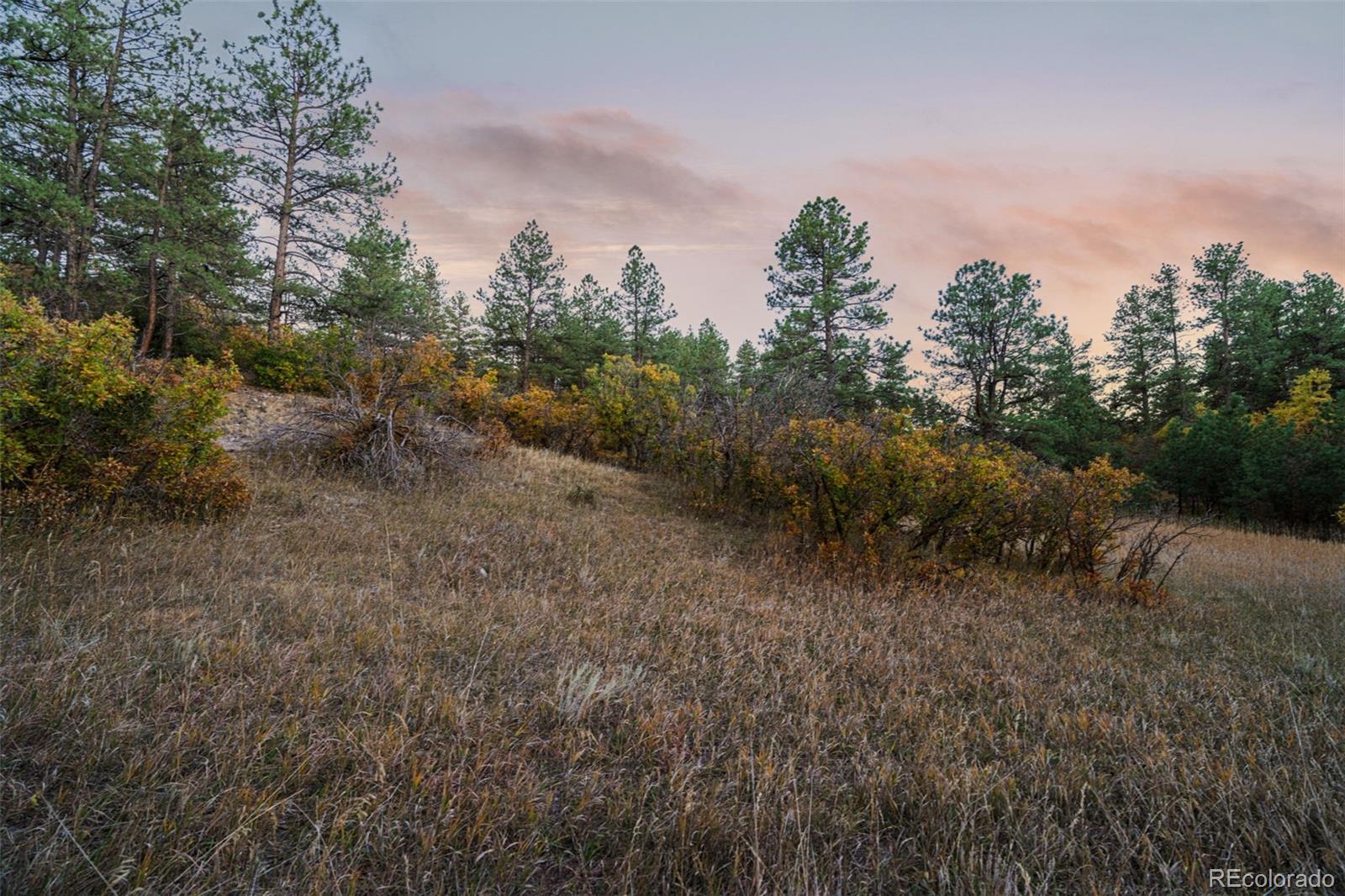 11011 Sunset Oaks Place Franktown CO 80116