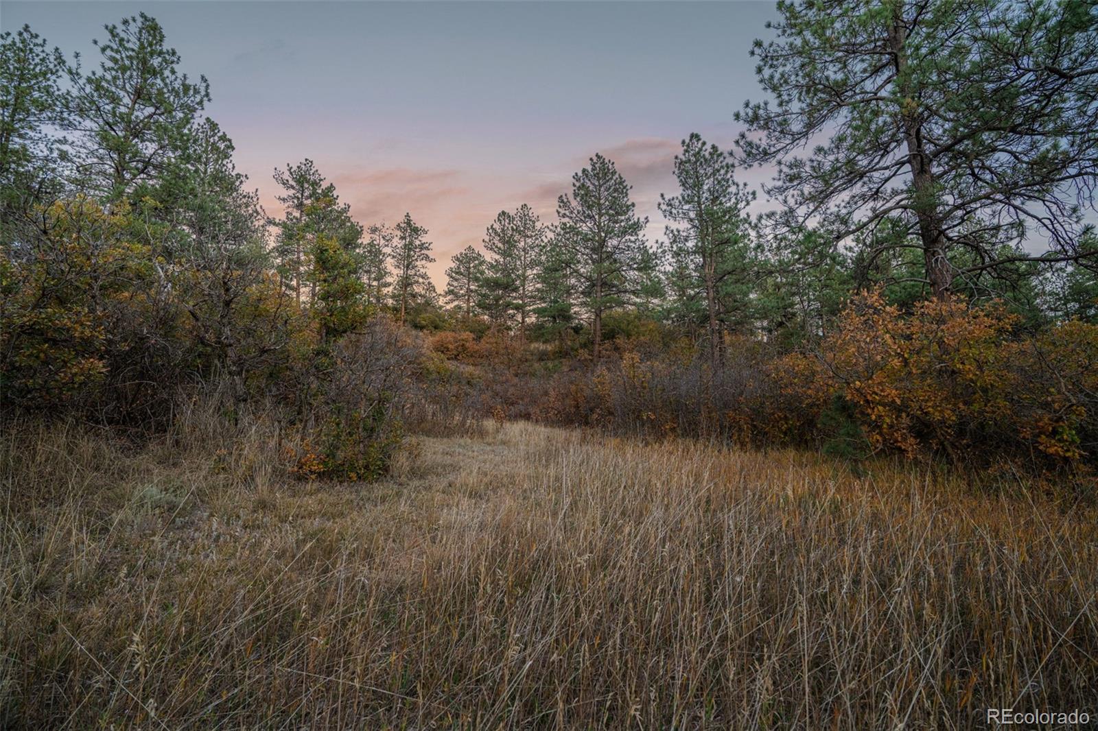 11011 Sunset Oaks Place Franktown CO 80116