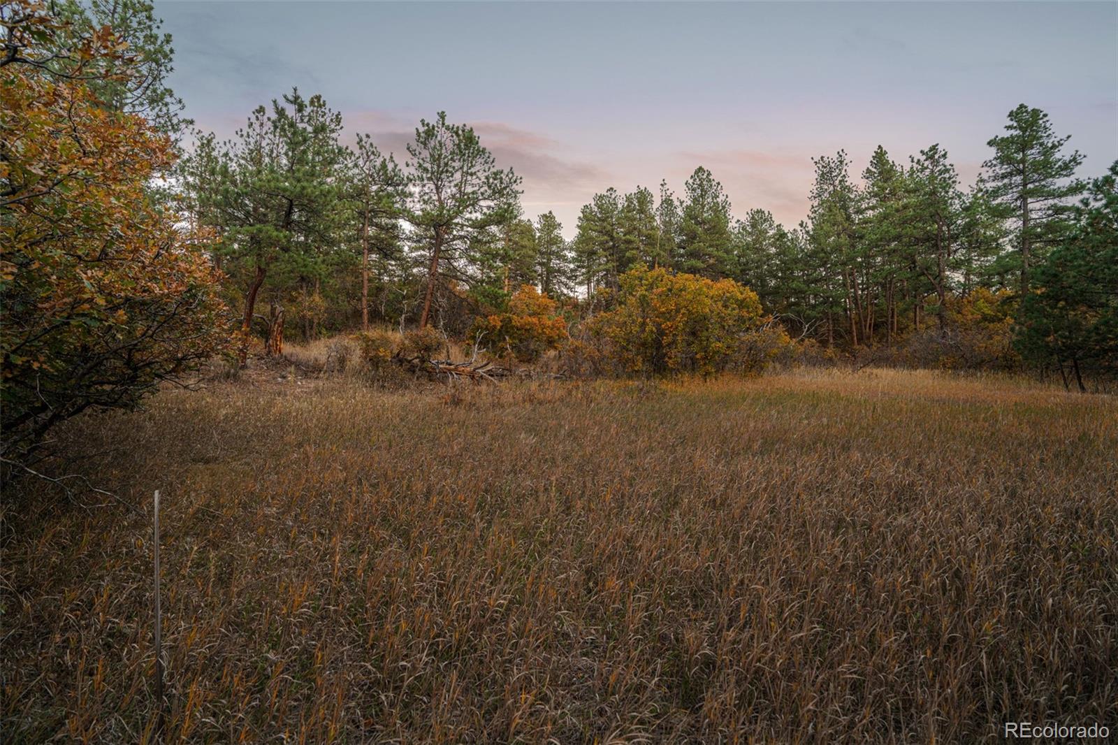 11011 Sunset Oaks Place Franktown CO 80116