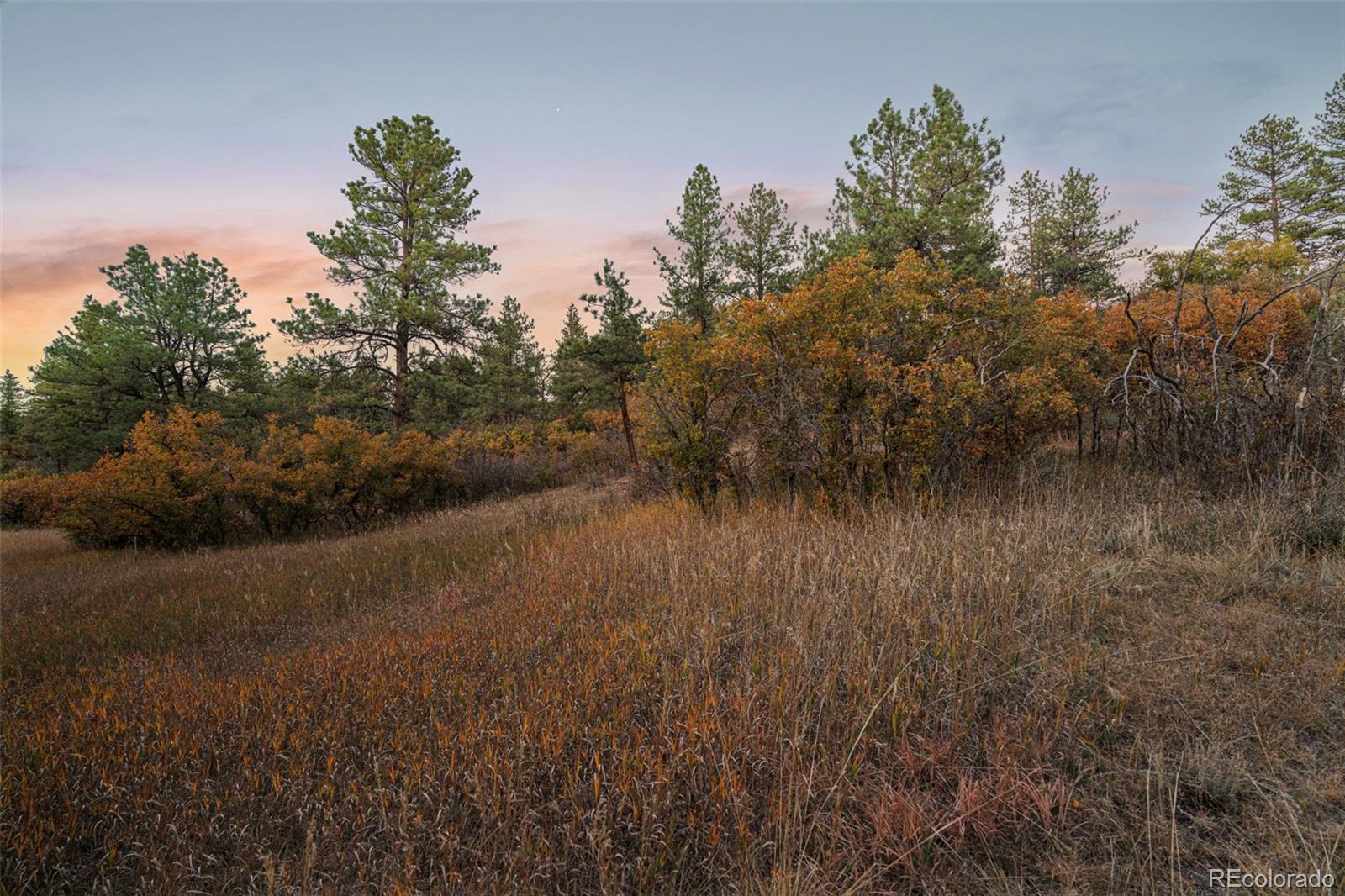 11011 Sunset Oaks Place Franktown CO 80116