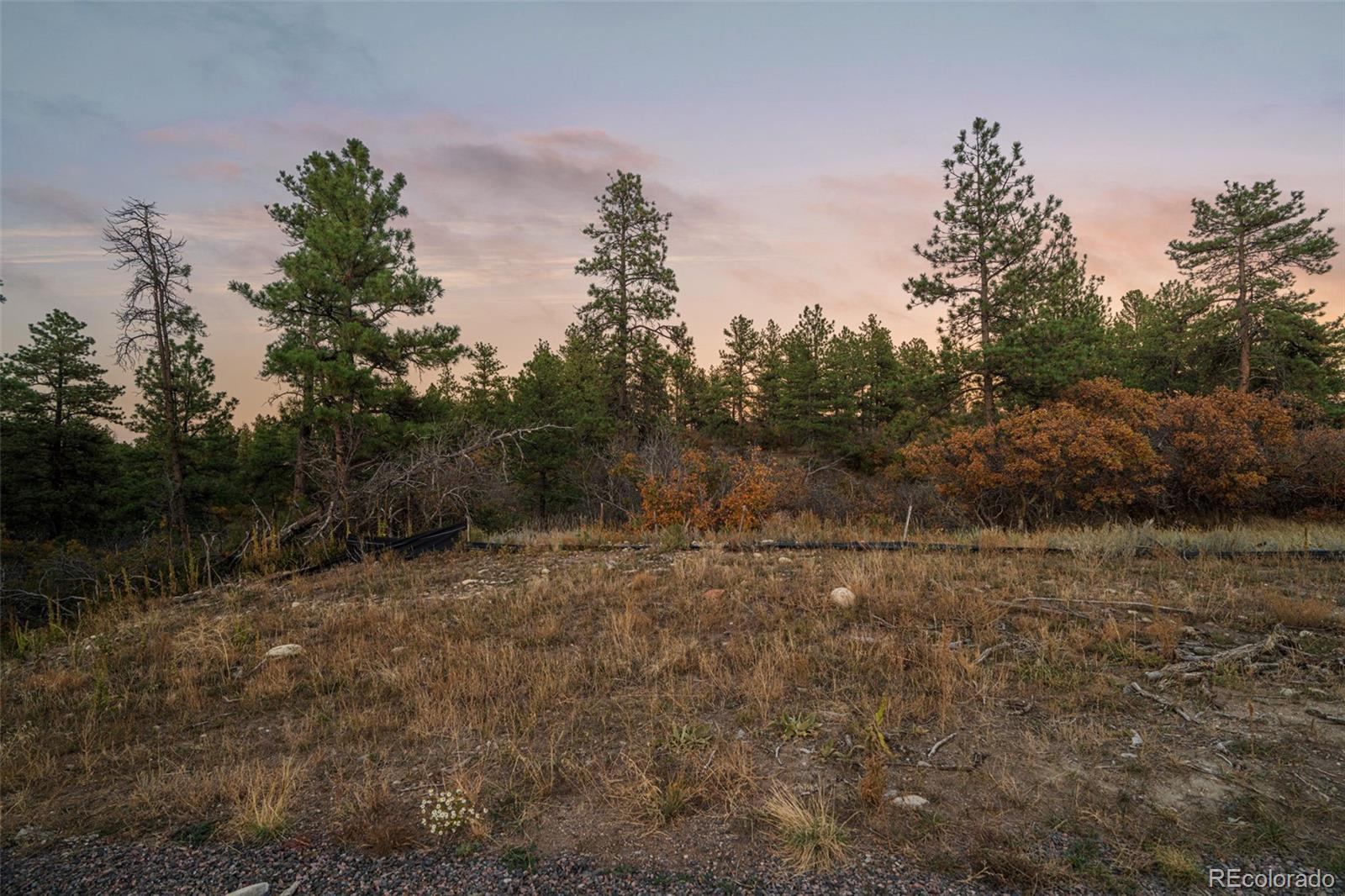 11011 Sunset Oaks Place Franktown CO 80116