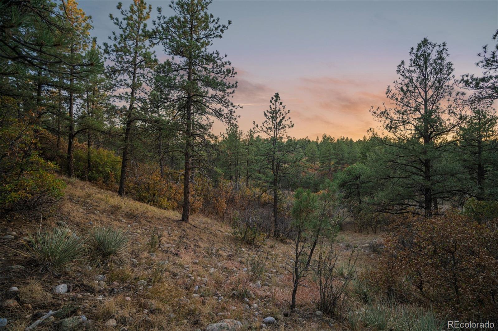 11011 Sunset Oaks Place Franktown CO 80116