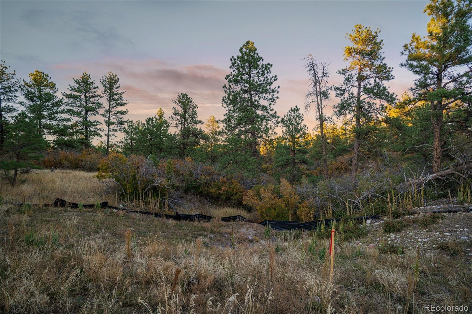 11011 Sunset Oaks Place Franktown CO 80116