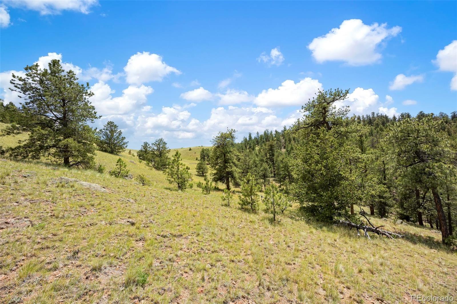 163 Keechi Road Hartsel CO 80449