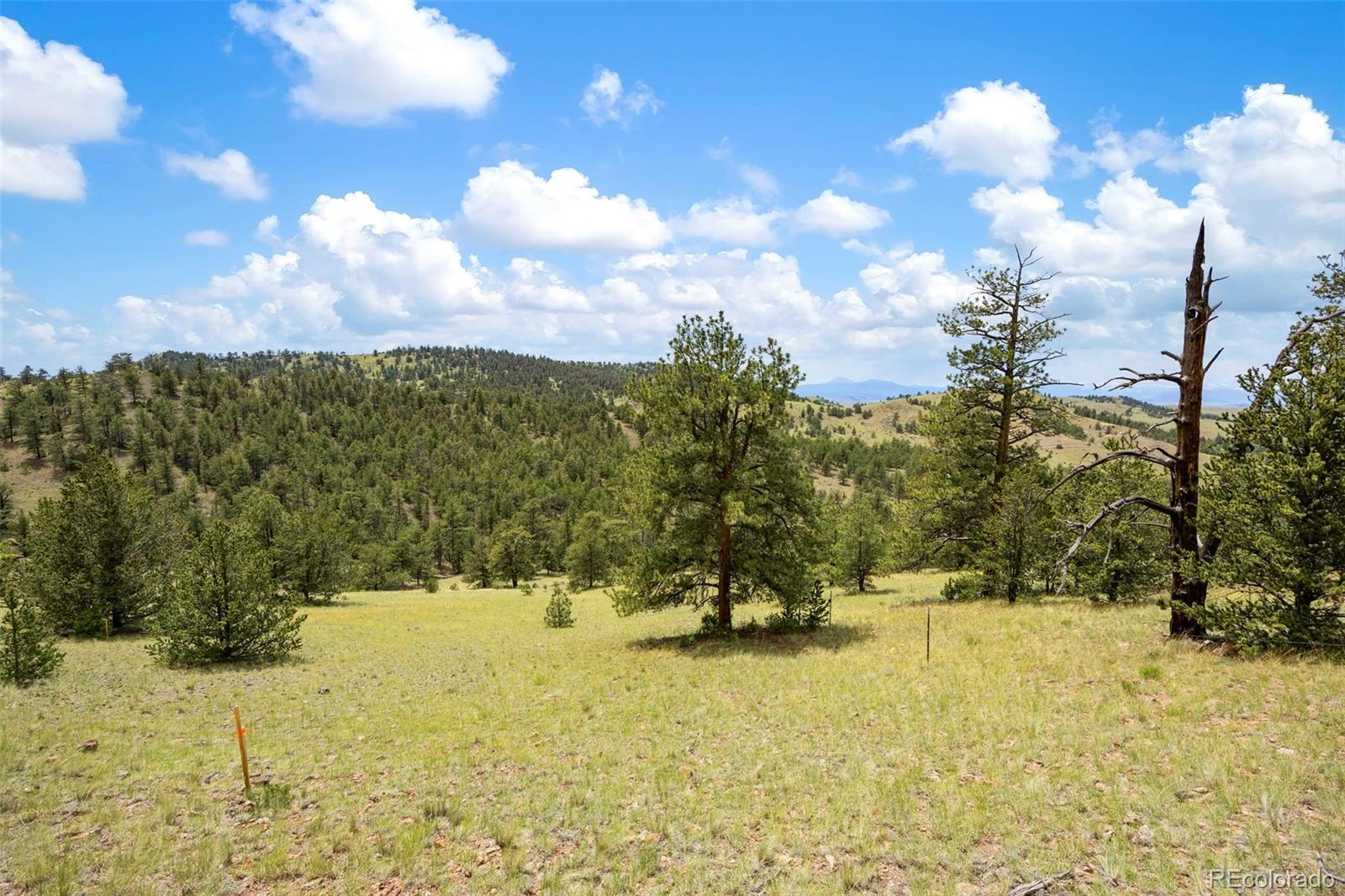 163 Keechi Road Hartsel CO 80449