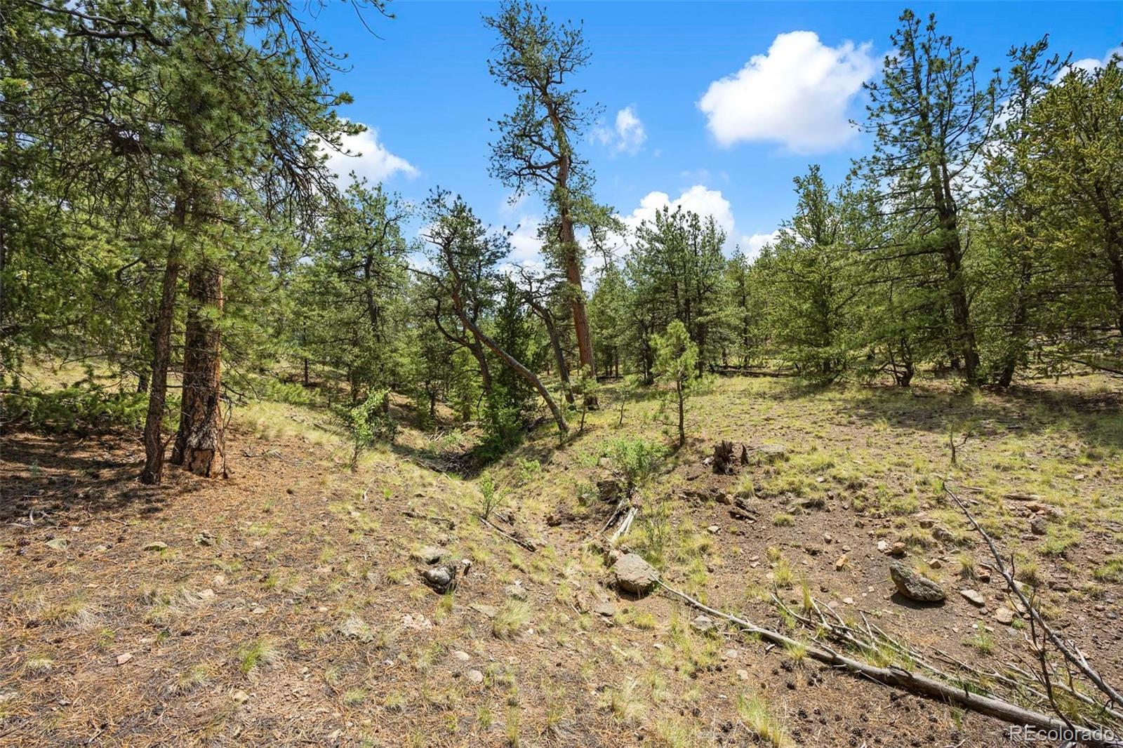 163 Keechi Road Hartsel CO 80449