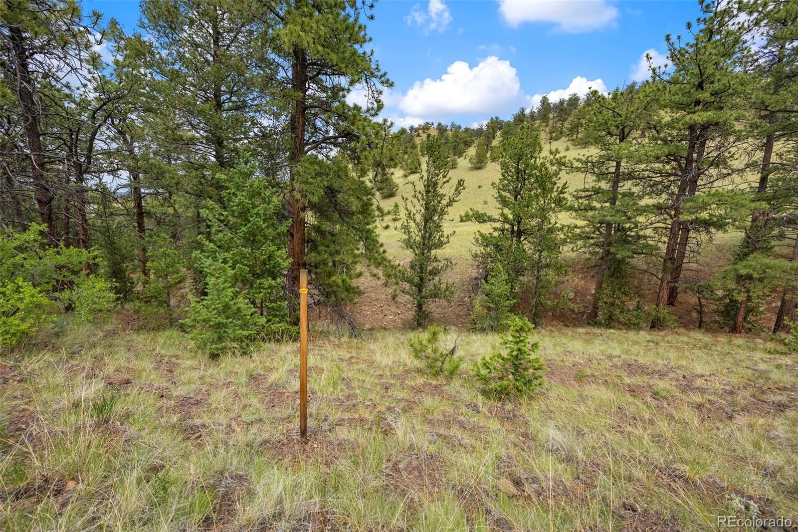 163 Keechi Road Hartsel CO 80449