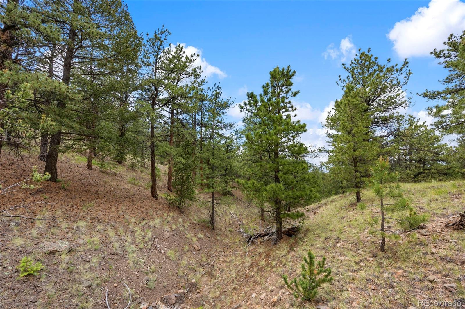 163 Keechi Road Hartsel CO 80449