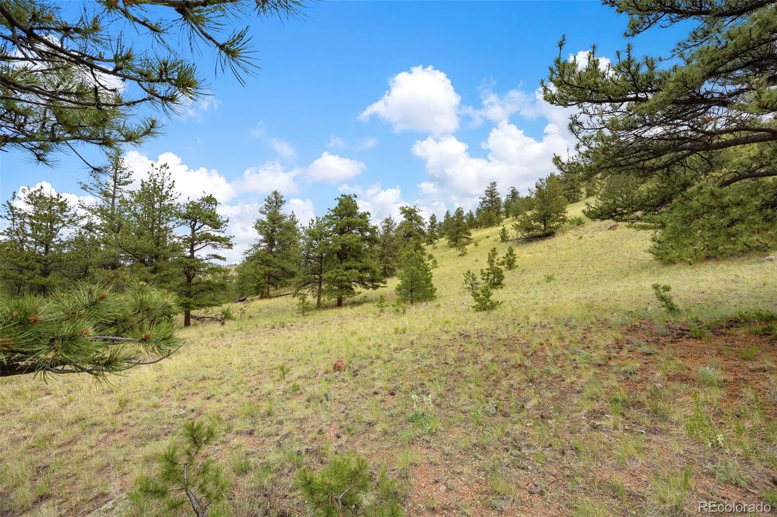 163 Keechi Road Hartsel CO 80449