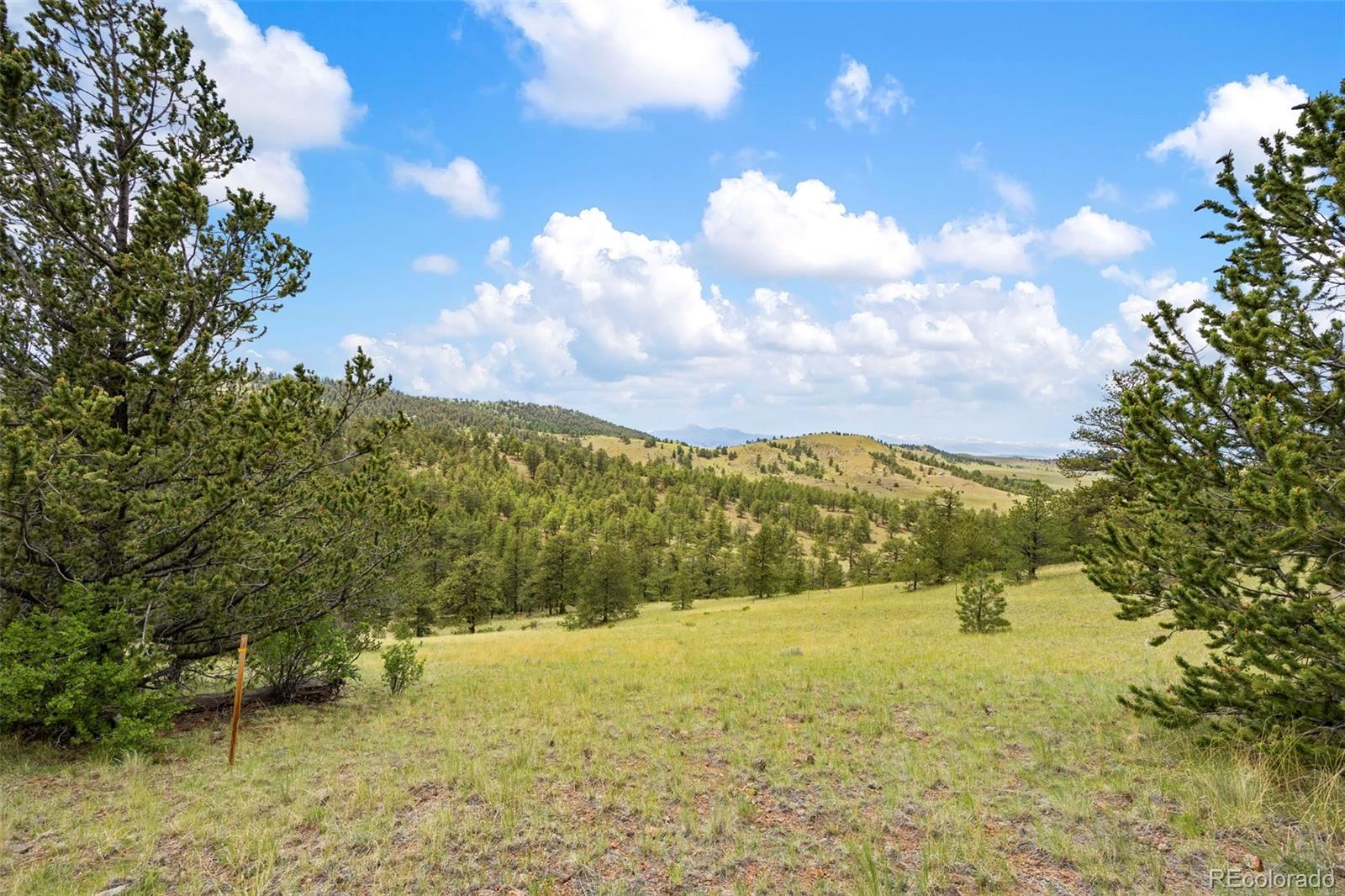 163 Keechi Road Hartsel CO 80449