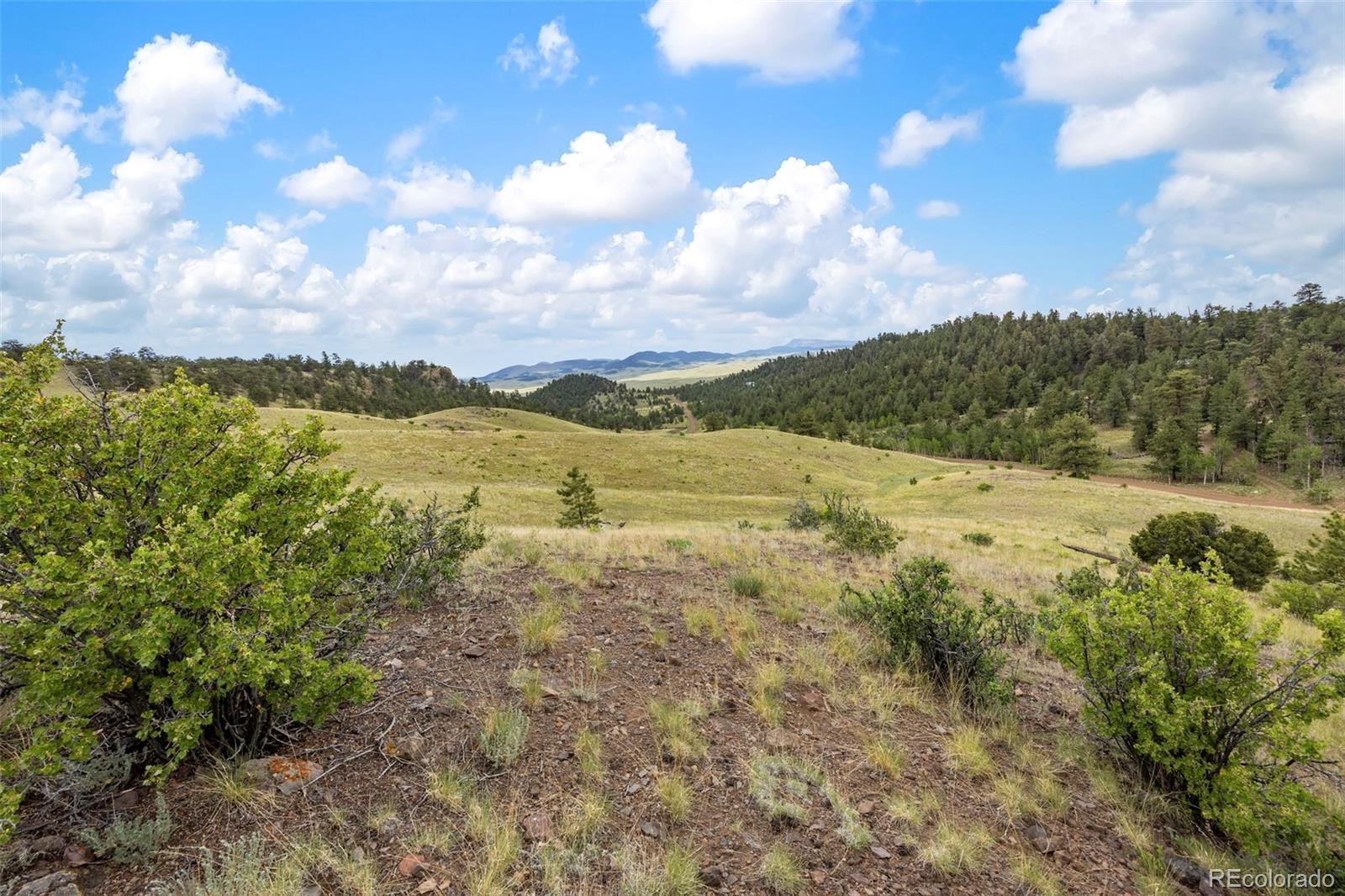 163 Keechi Road Hartsel CO 80449