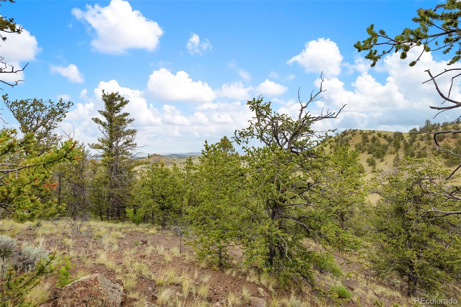 163 Keechi Road Hartsel CO 80449