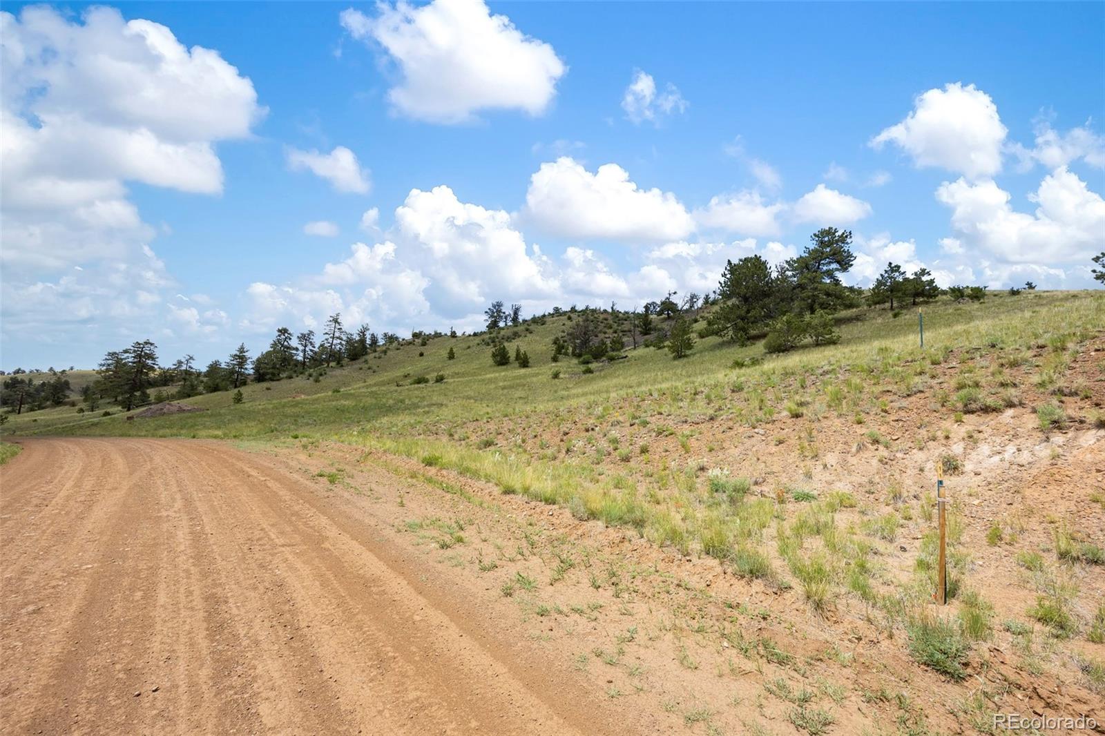 163 Keechi Road Hartsel CO 80449
