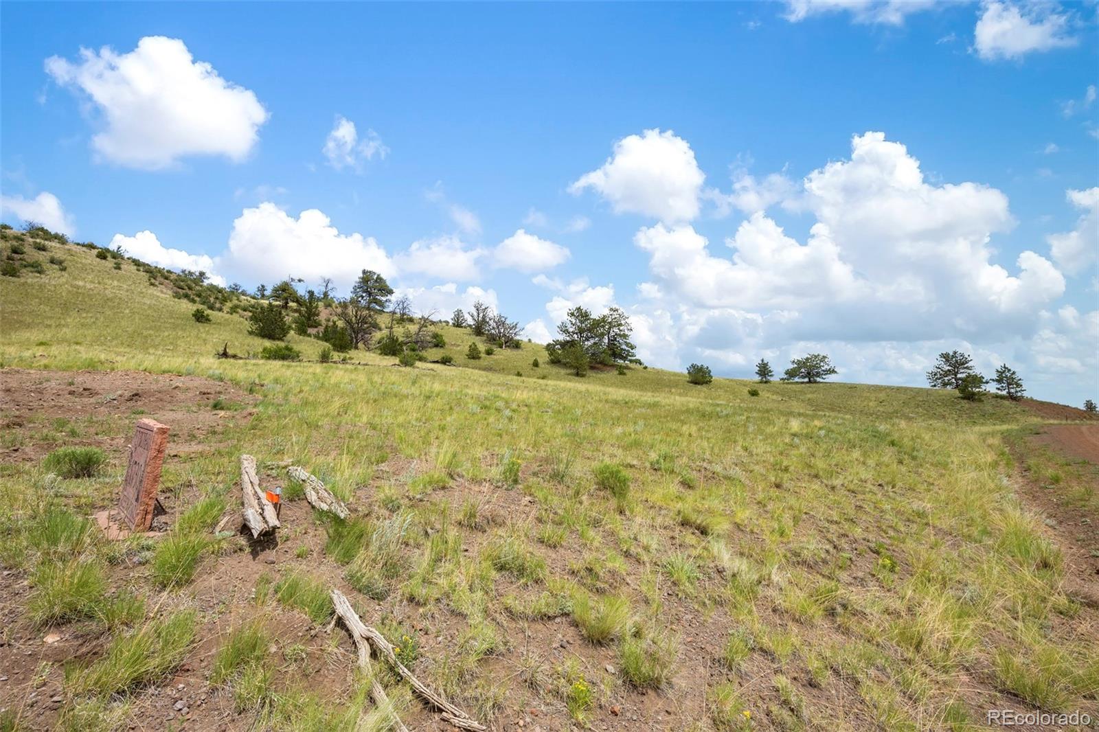 163 Keechi Road Hartsel CO 80449