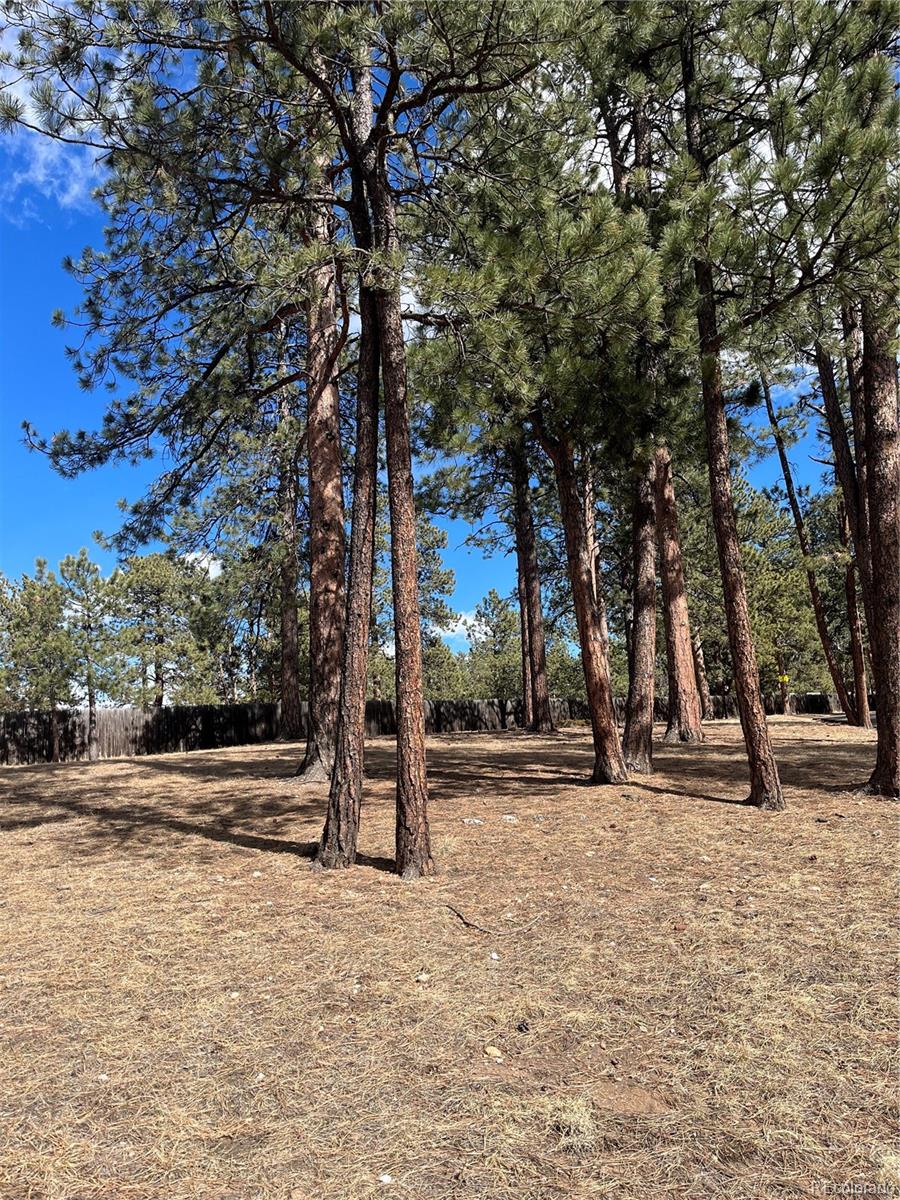 0 Pawnee Road Indian Hills CO 80454