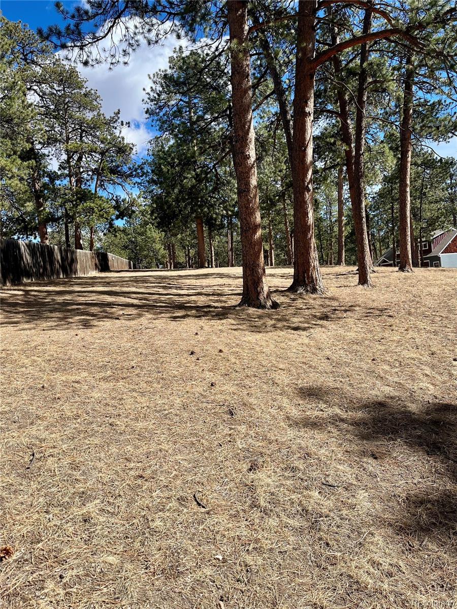 0 Pawnee Road Indian Hills CO 80454