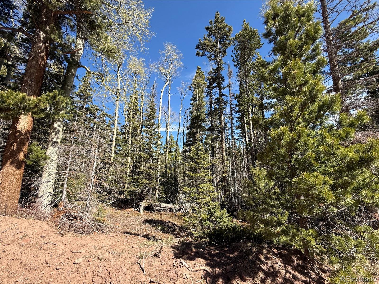 Lot 3408 Drexler Place Fort Garland CO 81133