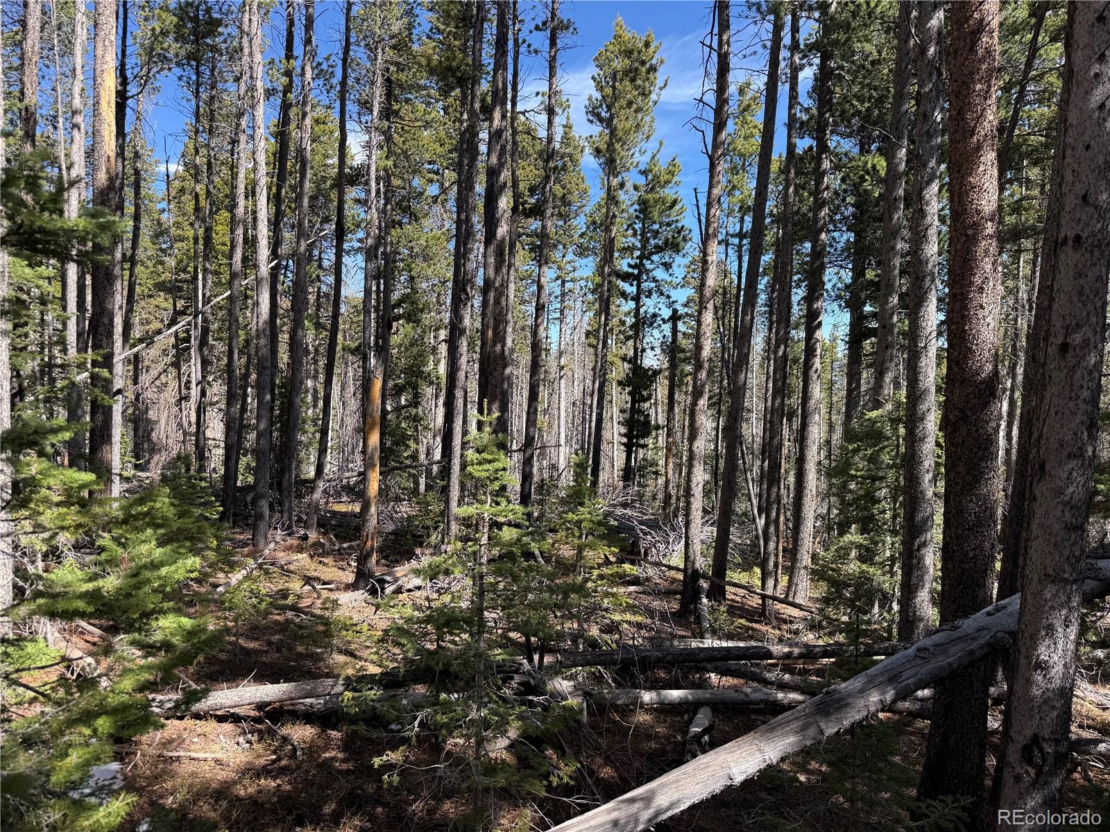 Lot 3408 Drexler Place Fort Garland CO 81133