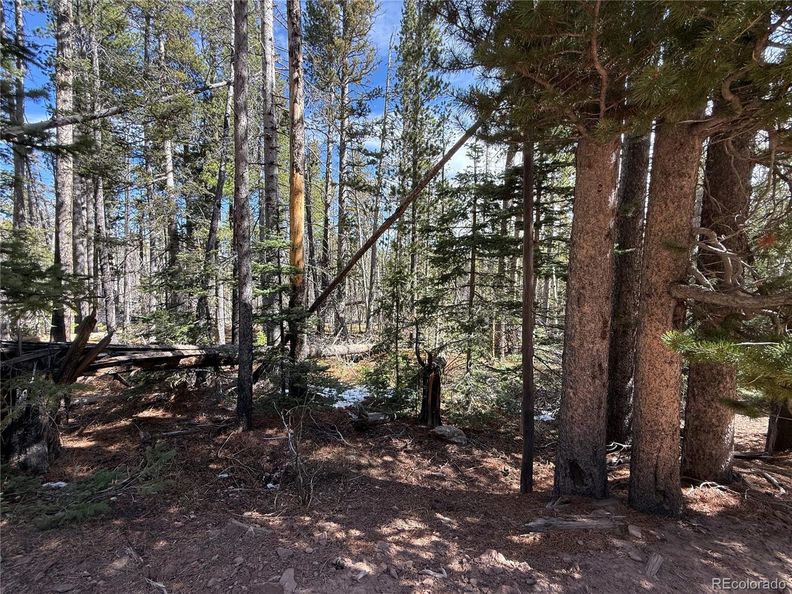 Lot 3408 Drexler Place Fort Garland CO 81133