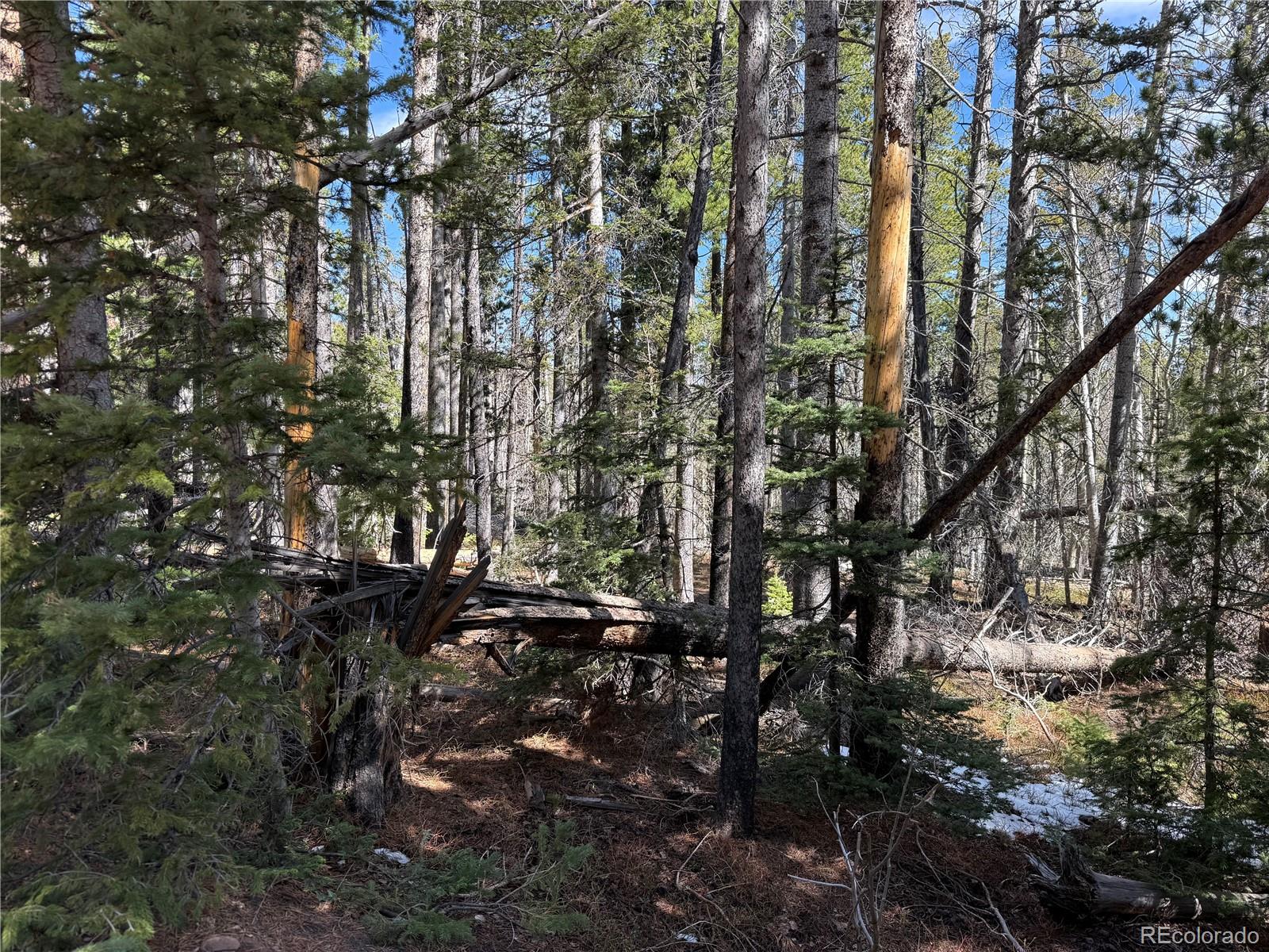 Lot 3408 Drexler Place Fort Garland CO 81133