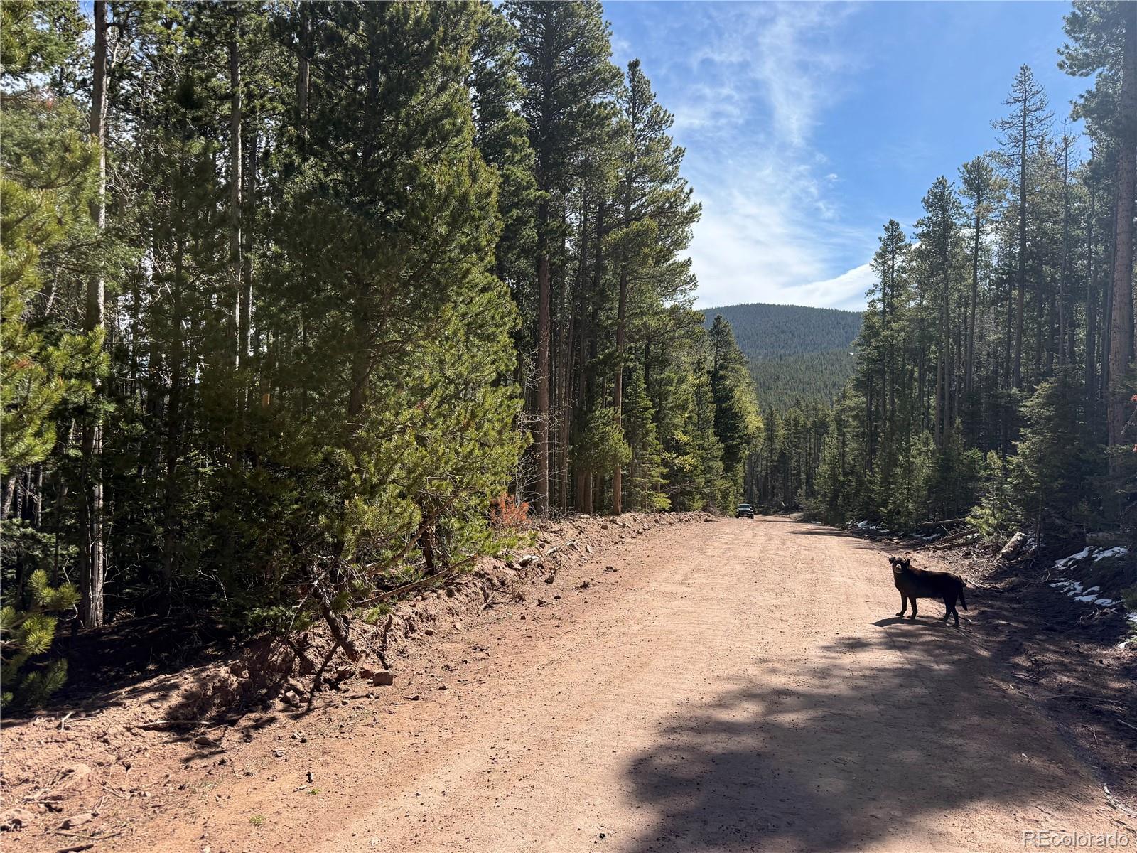 Lot 3408 Drexler Place Fort Garland CO 81133