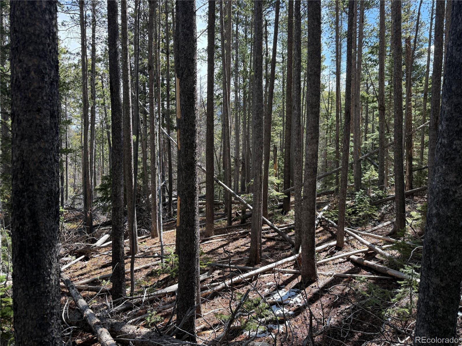 Lot 3408 Drexler Place Fort Garland CO 81133