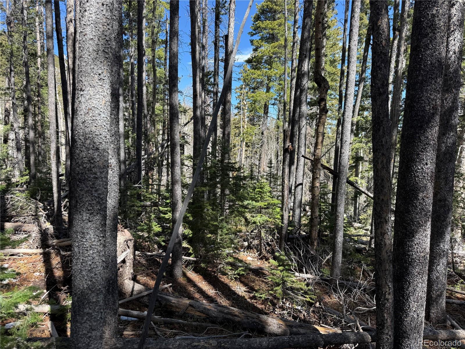 Lot 3408 Drexler Place Fort Garland CO 81133
