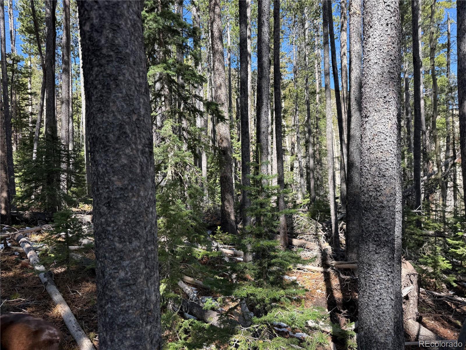 Lot 3408 Drexler Place Fort Garland CO 81133
