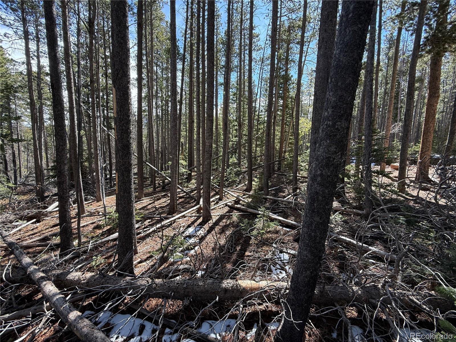 Lot 3408 Drexler Place Fort Garland CO 81133