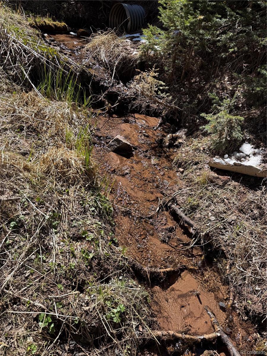 Lot 3408 Drexler Place Fort Garland CO 81133
