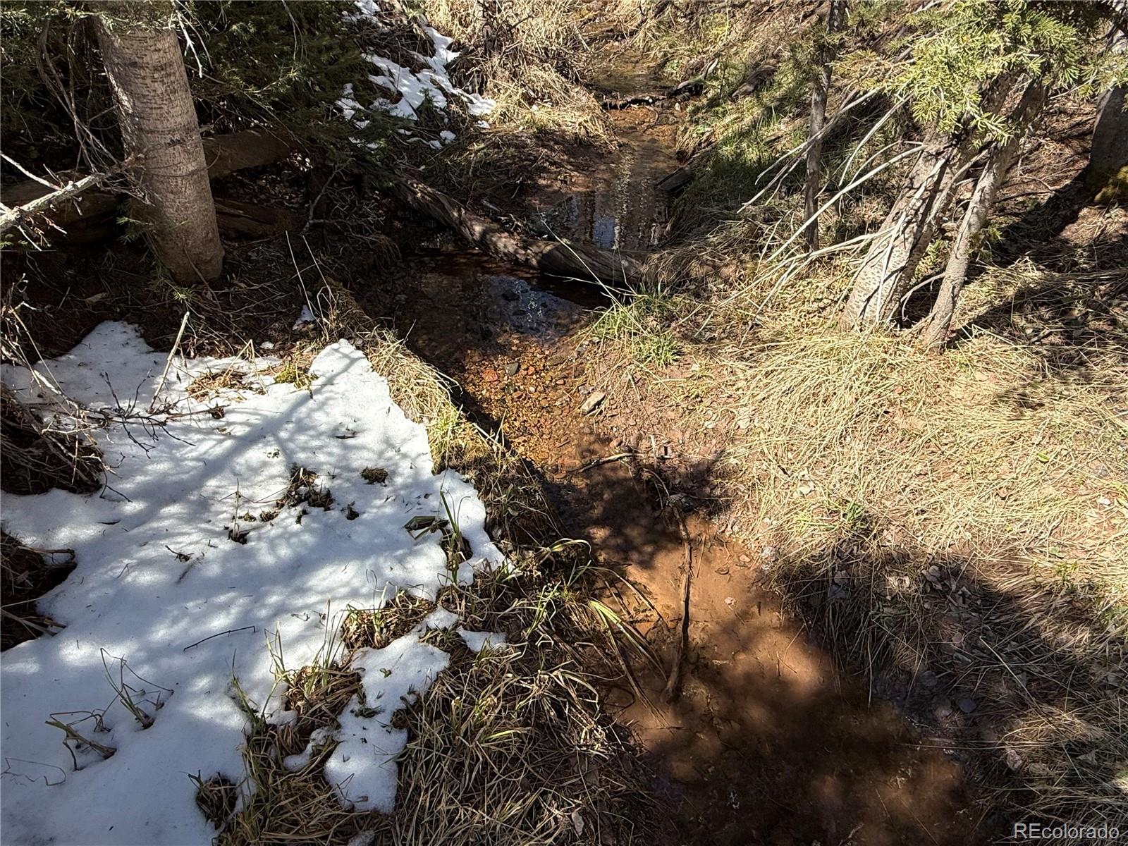 Lot 3408 Drexler Place Fort Garland CO 81133