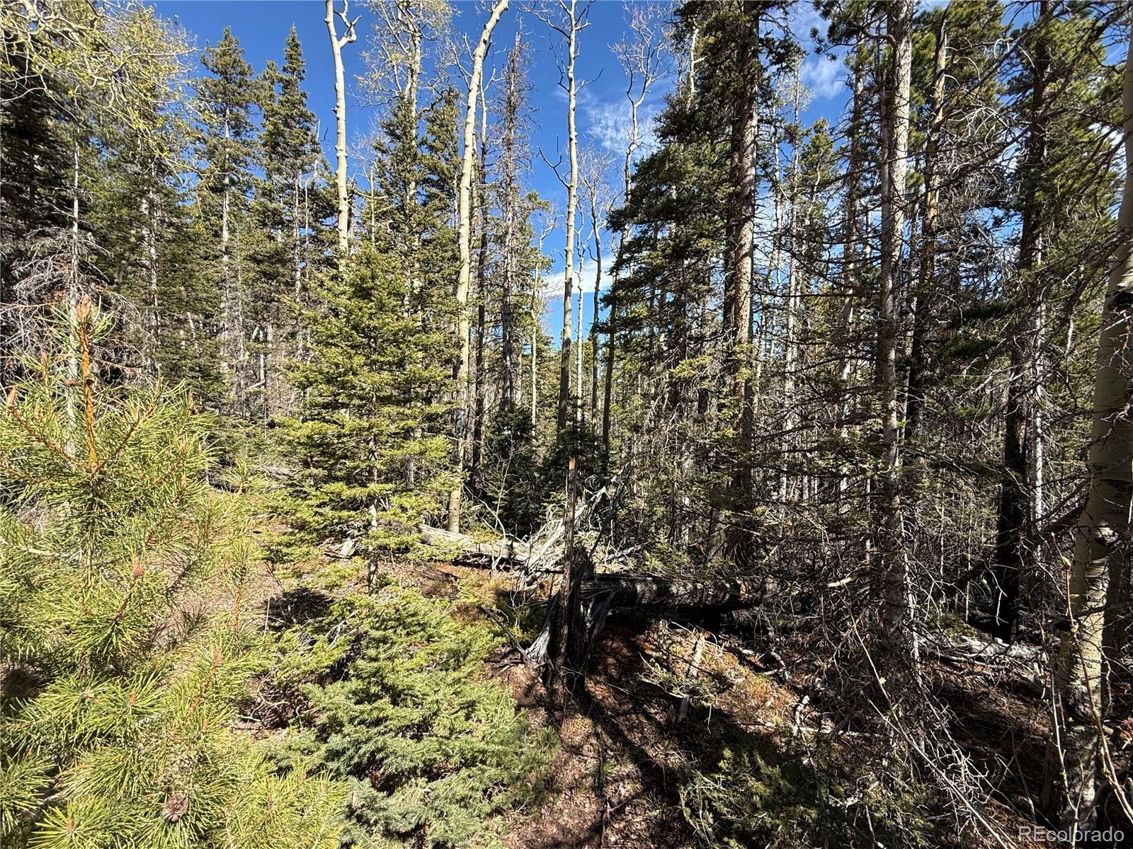 Lot 3408 Drexler Place Fort Garland CO 81133