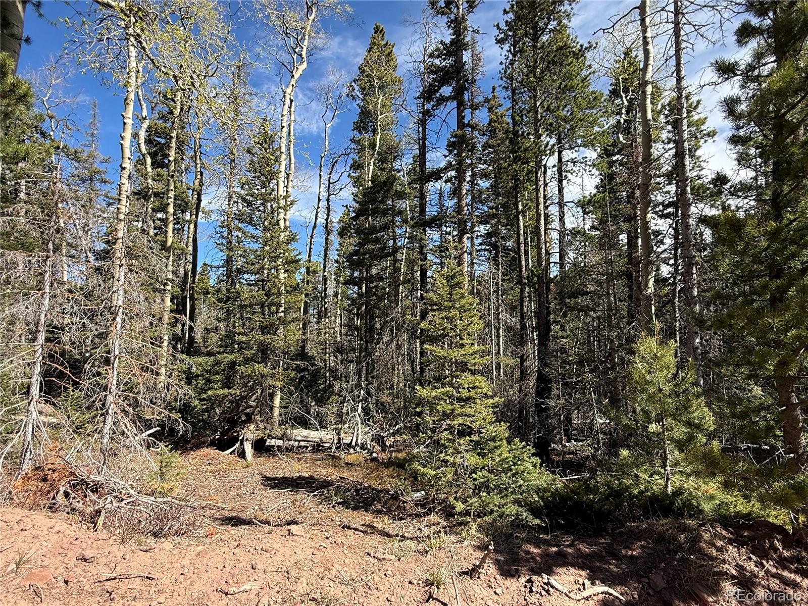Lot 3408 Drexler Place Fort Garland CO 81133