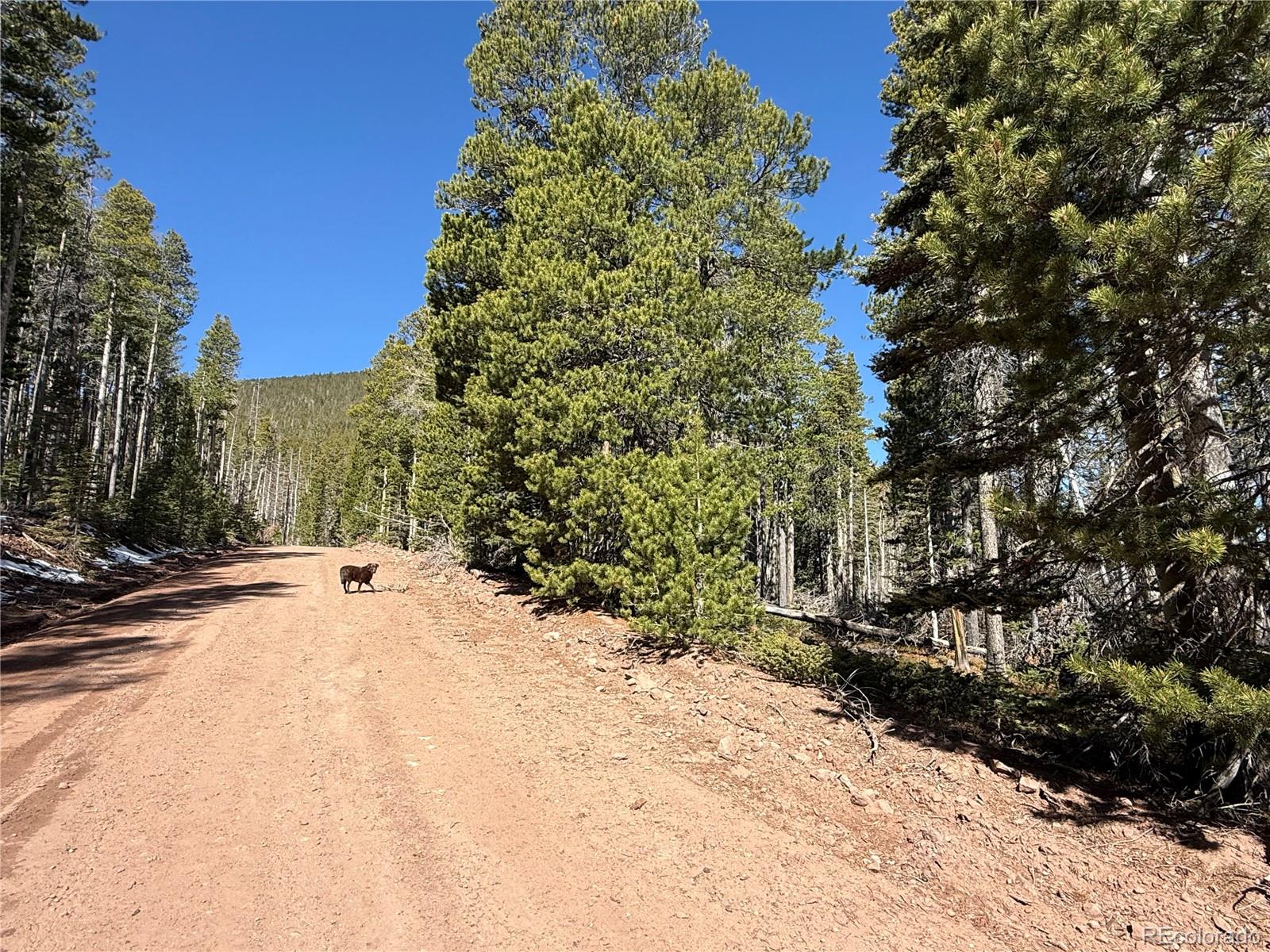Lot 3408 Drexler Place Fort Garland CO 81133