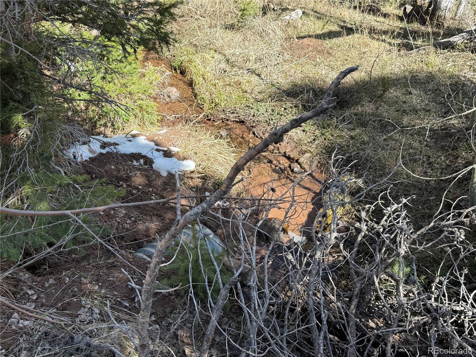 Lot 3408 Drexler Place Fort Garland CO 81133
