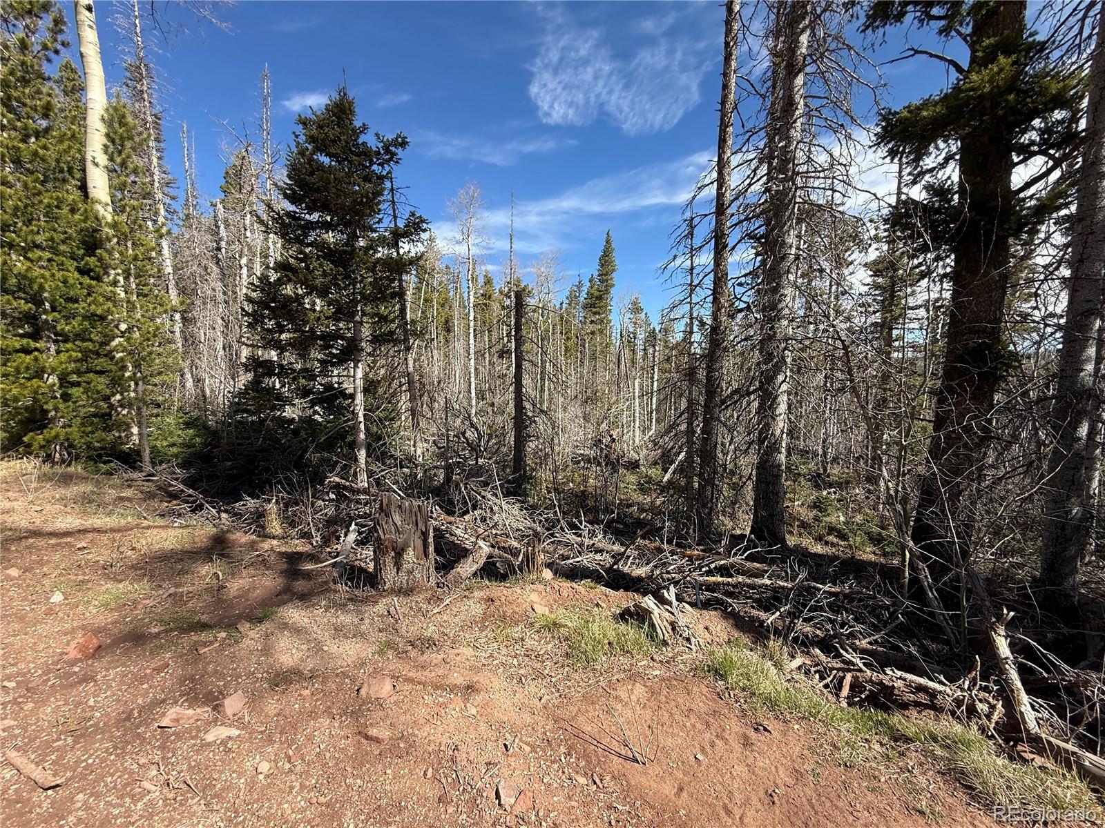 Lot 3408 Drexler Place Fort Garland CO 81133