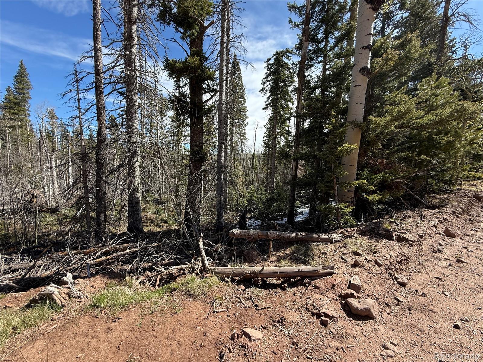 Lot 3408 Drexler Place Fort Garland CO 81133