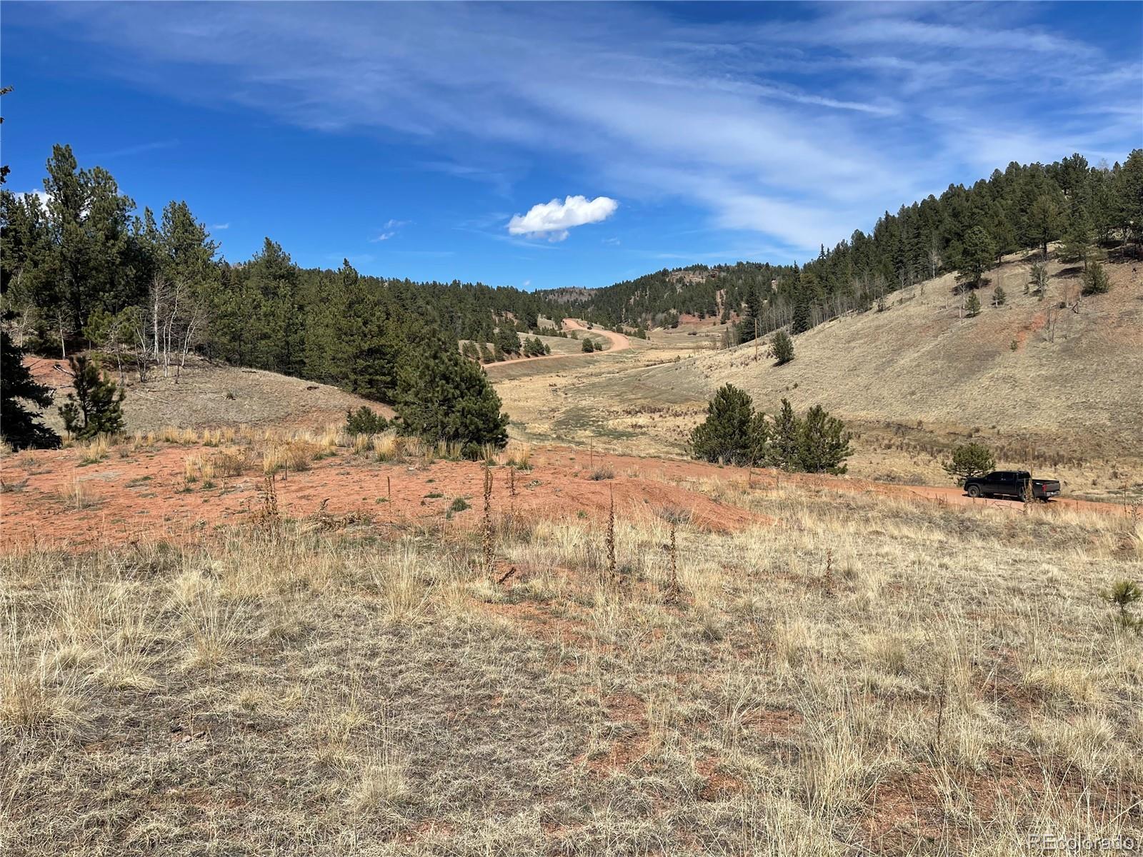 323 Gold King Drive Cripple Creek CO 80813