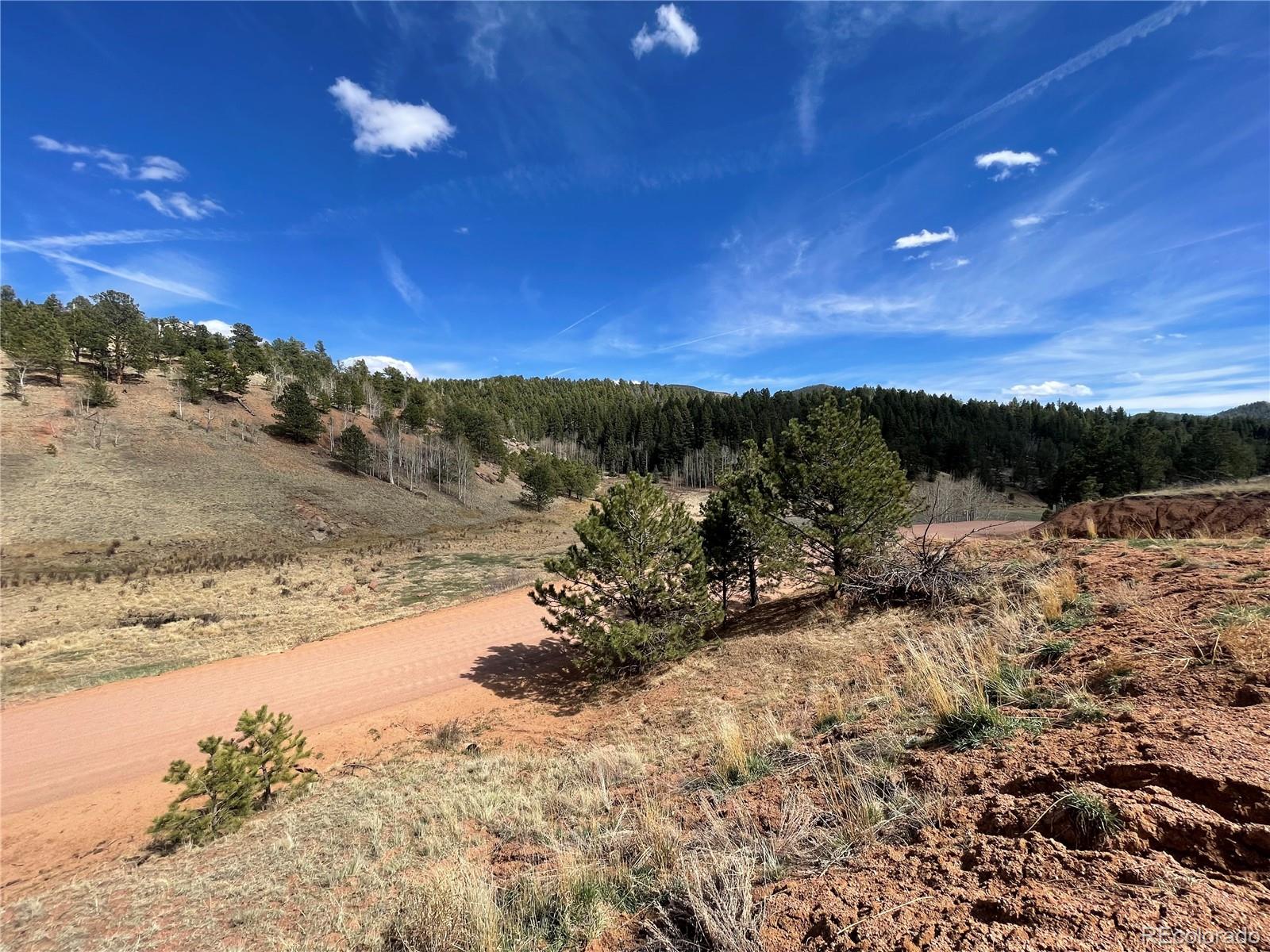 323 Gold King Drive Cripple Creek CO 80813