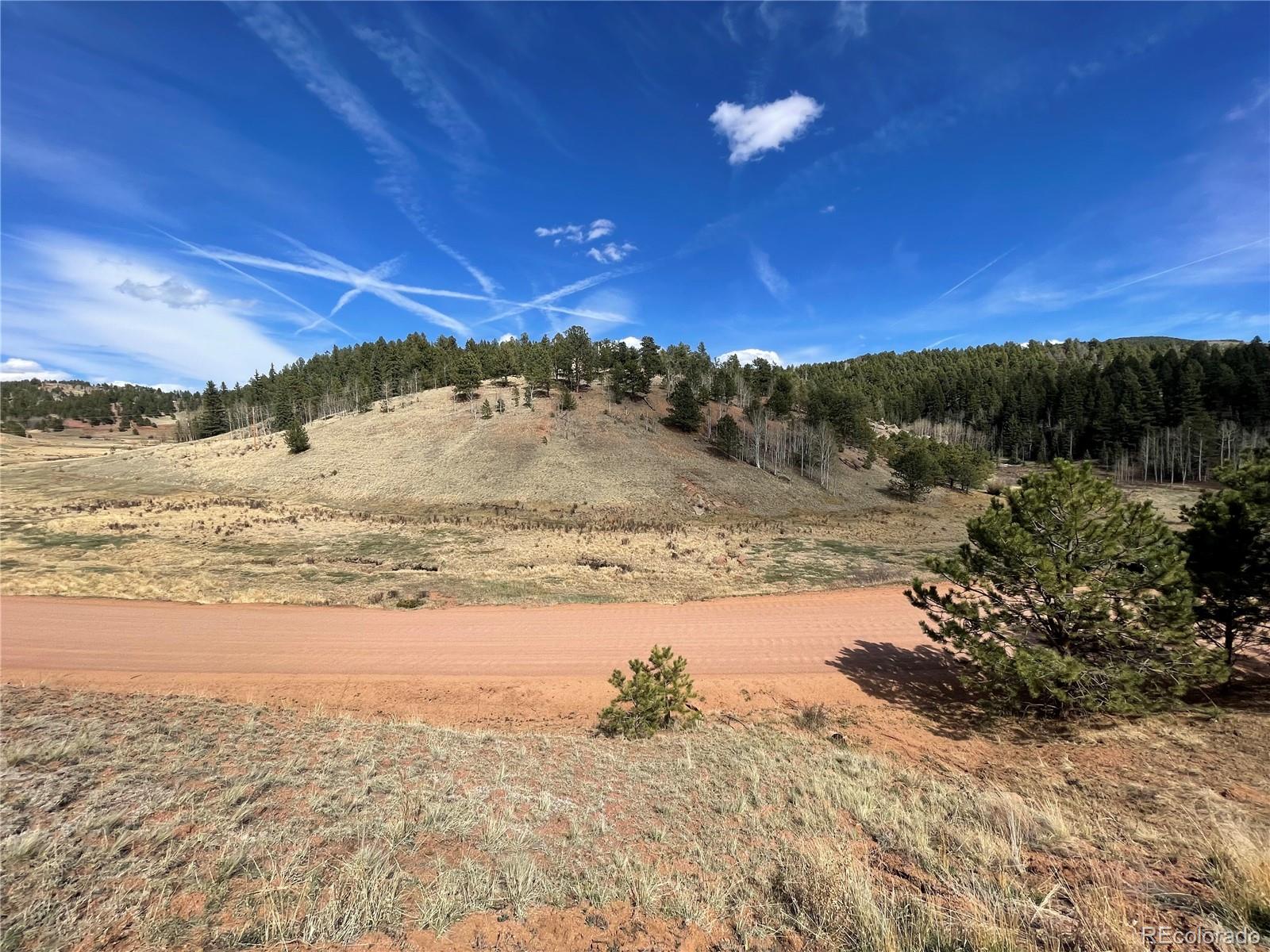 323 Gold King Drive Cripple Creek CO 80813