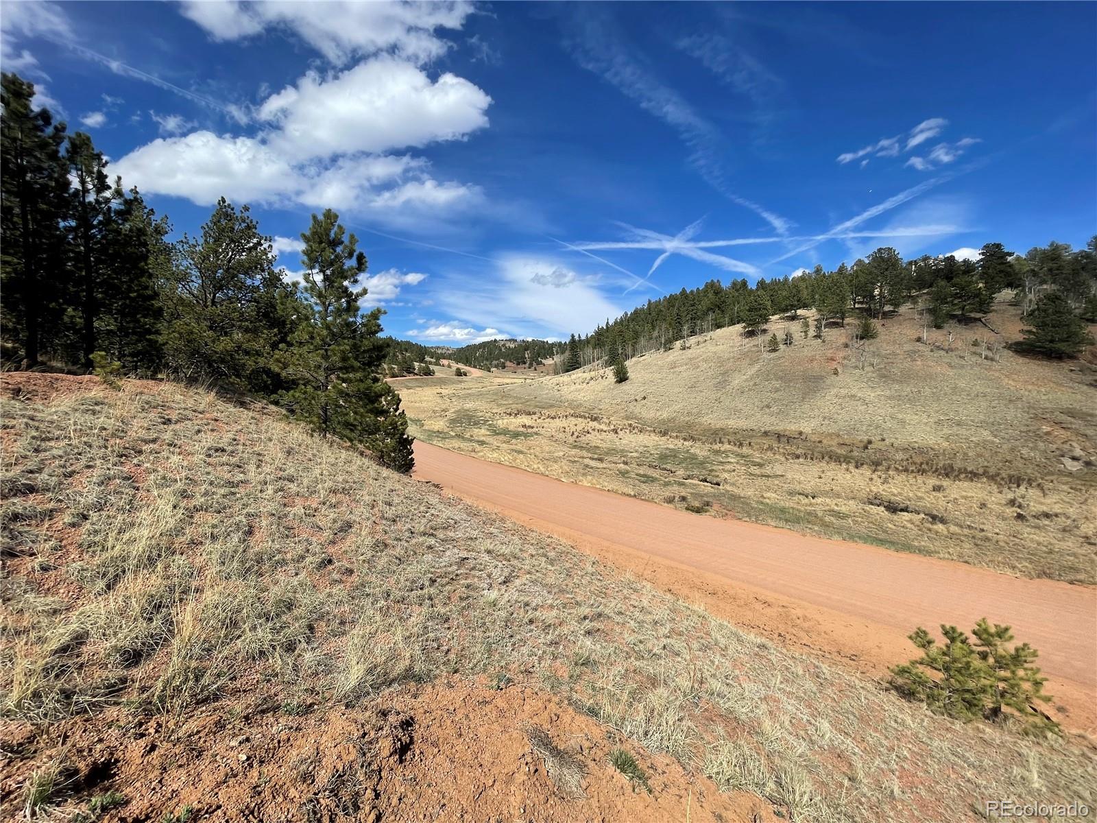323 Gold King Drive Cripple Creek CO 80813