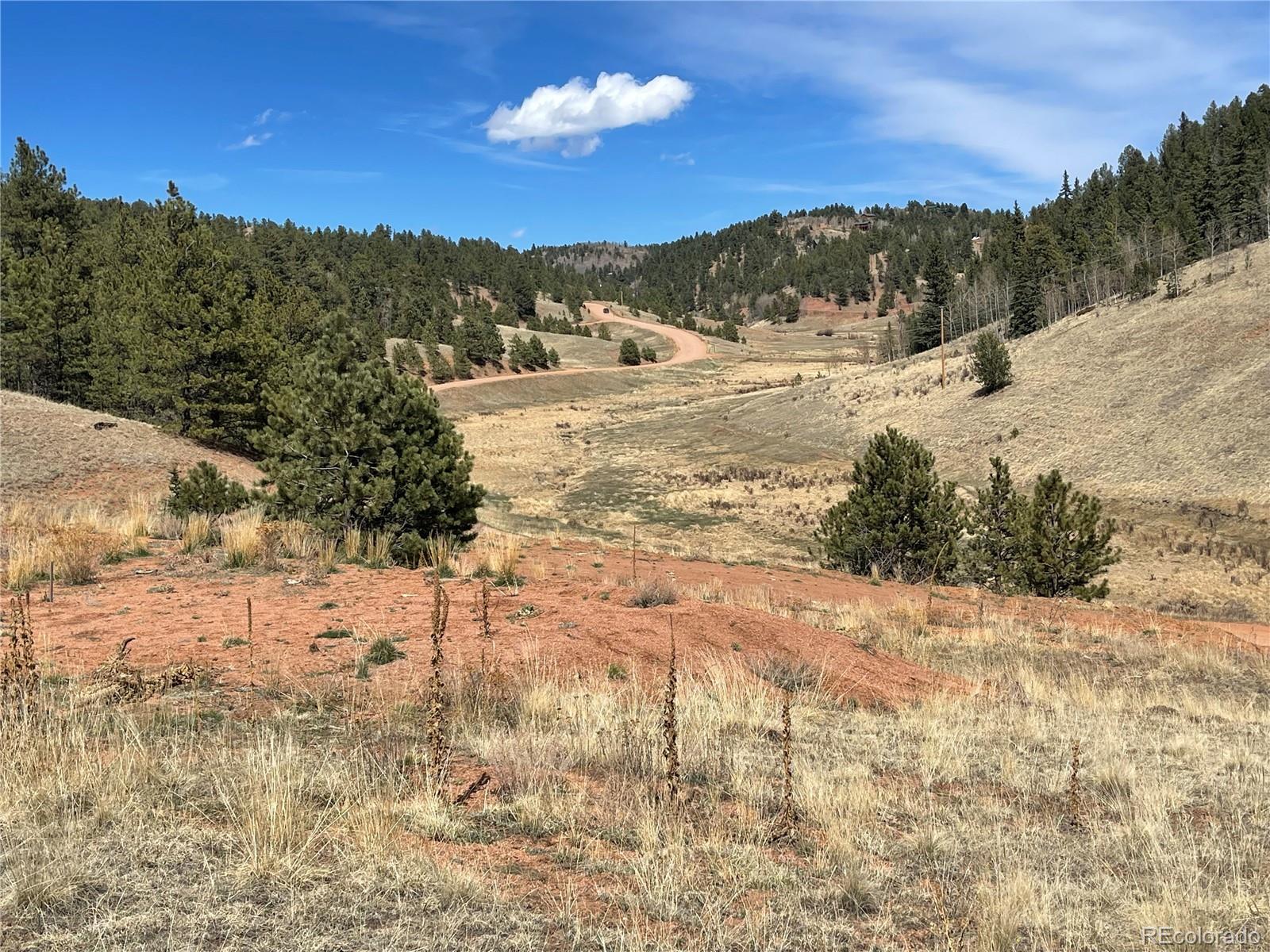 323 Gold King Drive Cripple Creek CO 80813