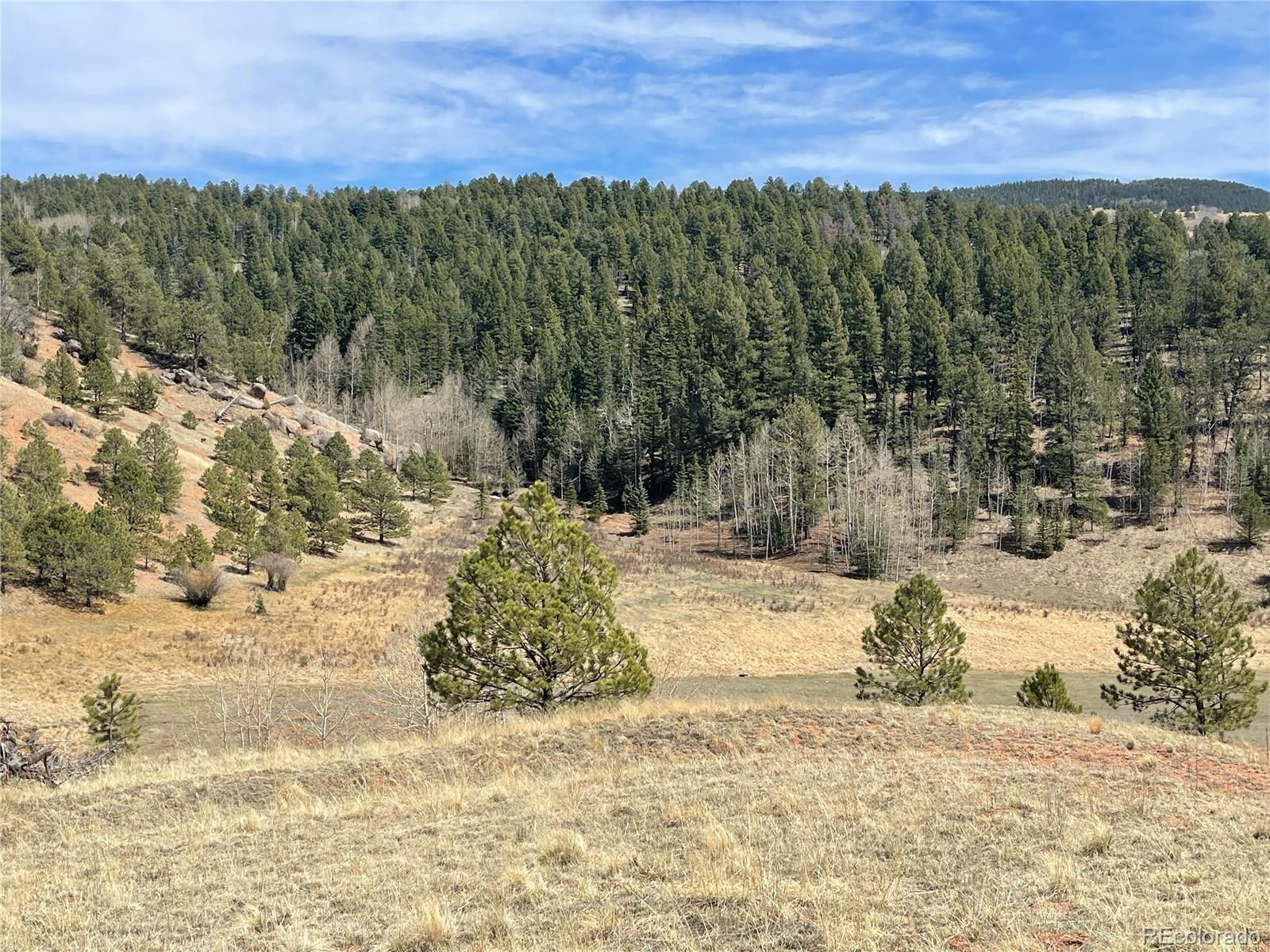 323 Gold King Drive Cripple Creek CO 80813