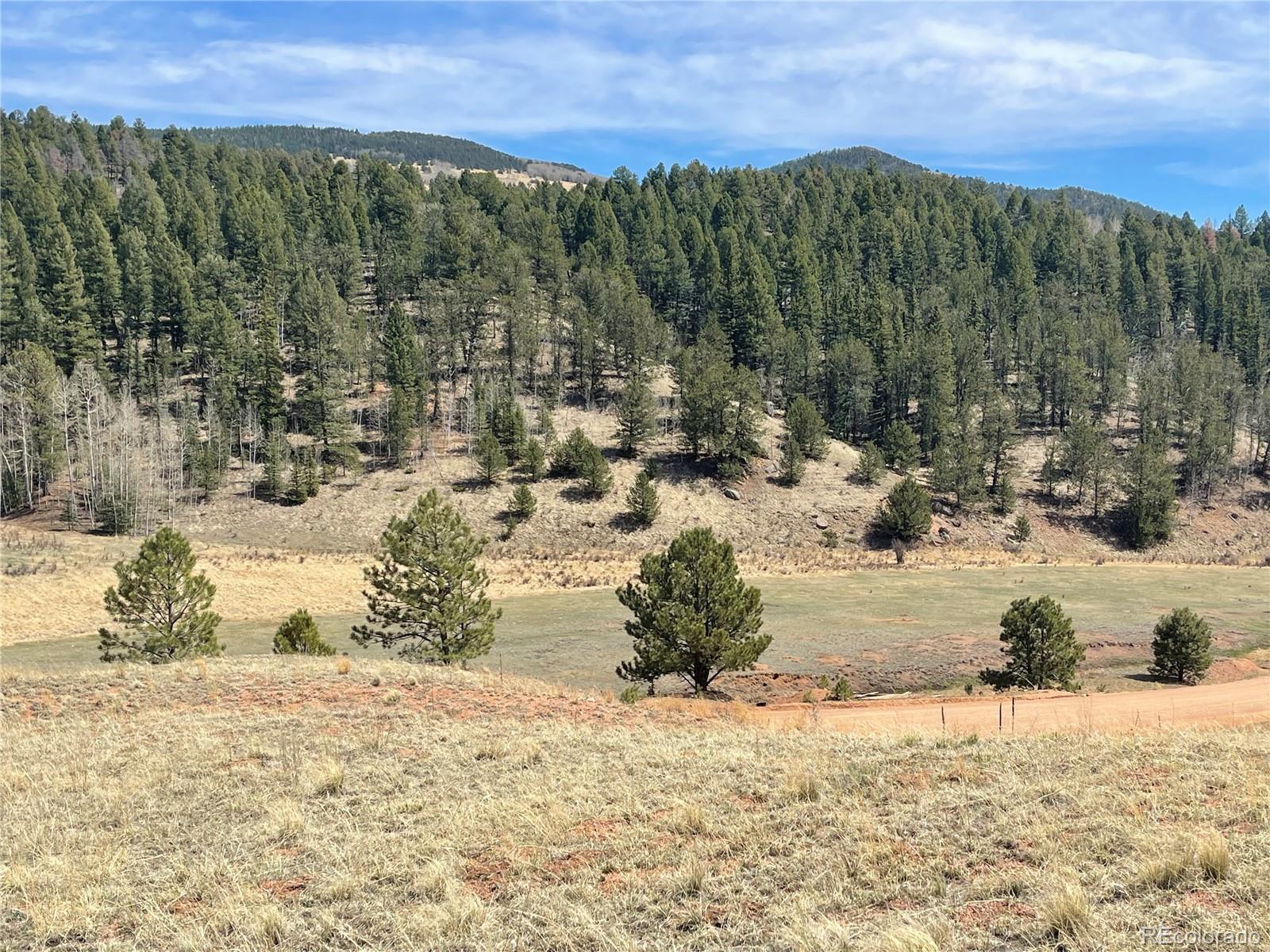 323 Gold King Drive Cripple Creek CO 80813