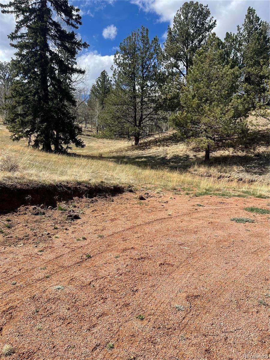 323 Gold King Drive Cripple Creek CO 80813