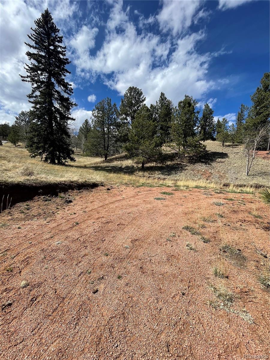 323 Gold King Drive Cripple Creek CO 80813