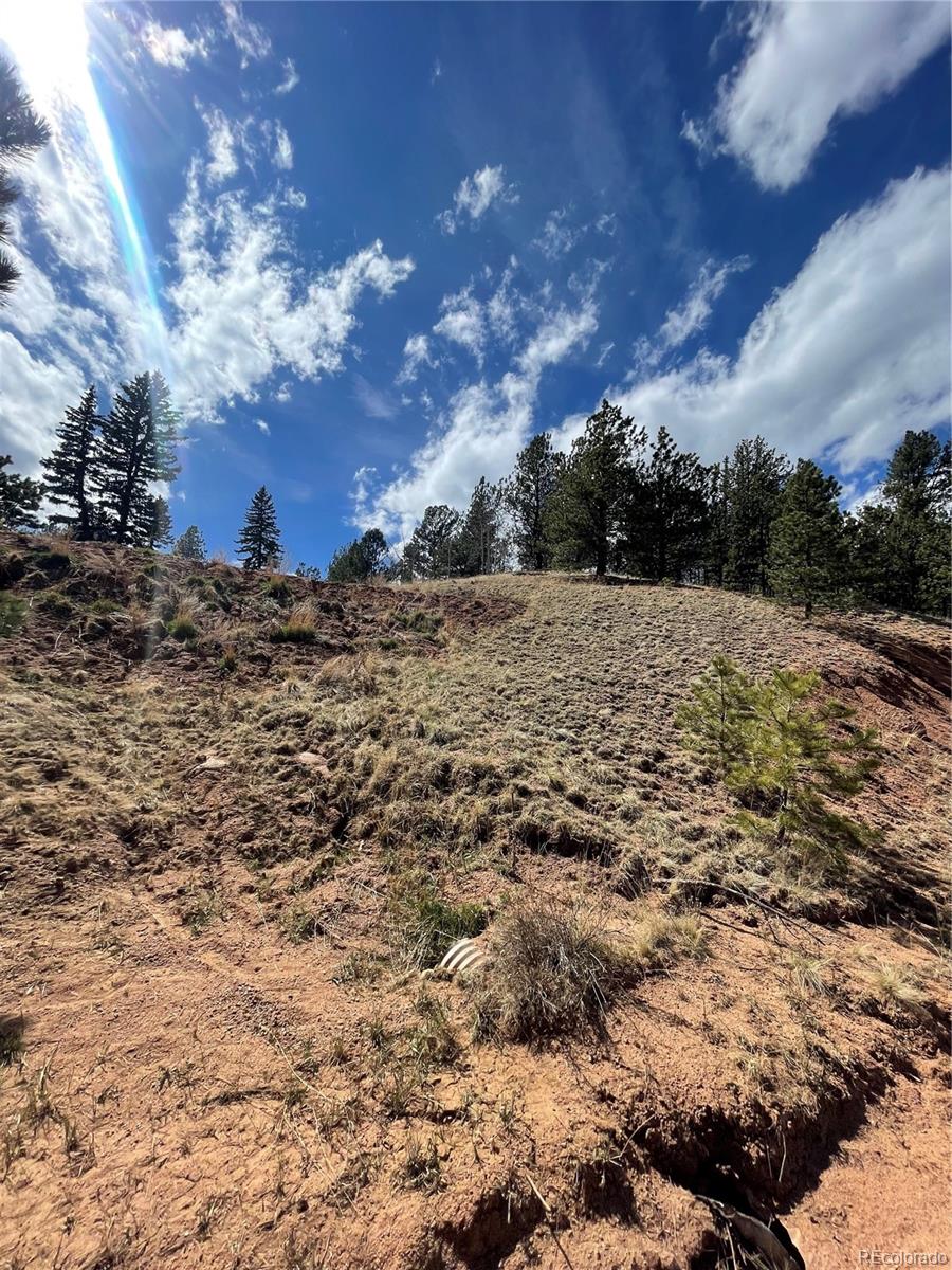 323 Gold King Drive Cripple Creek CO 80813
