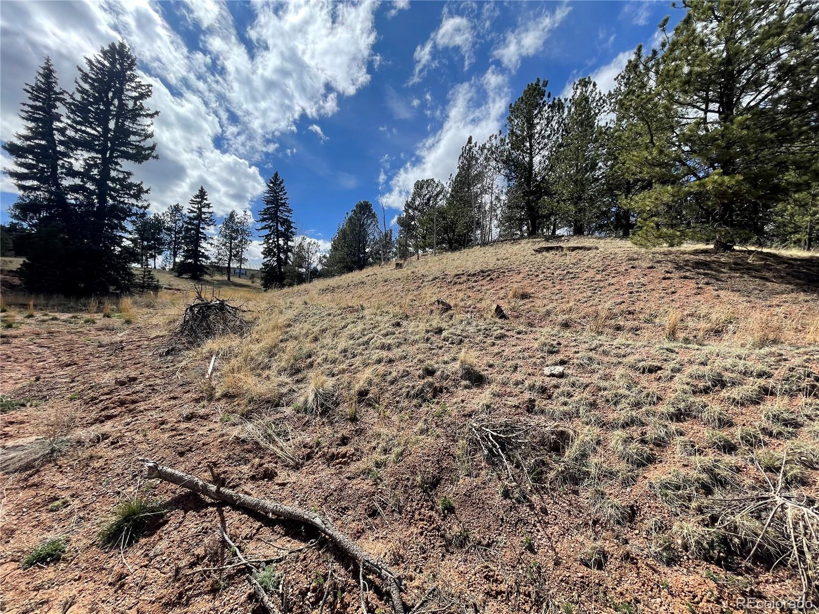 323 Gold King Drive Cripple Creek CO 80813