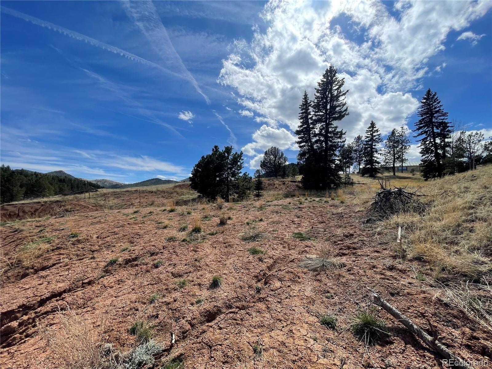 323 Gold King Drive Cripple Creek CO 80813